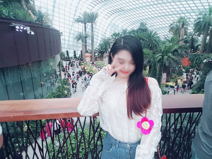  [해외여행] Singapore 싱가포르 첫째 날