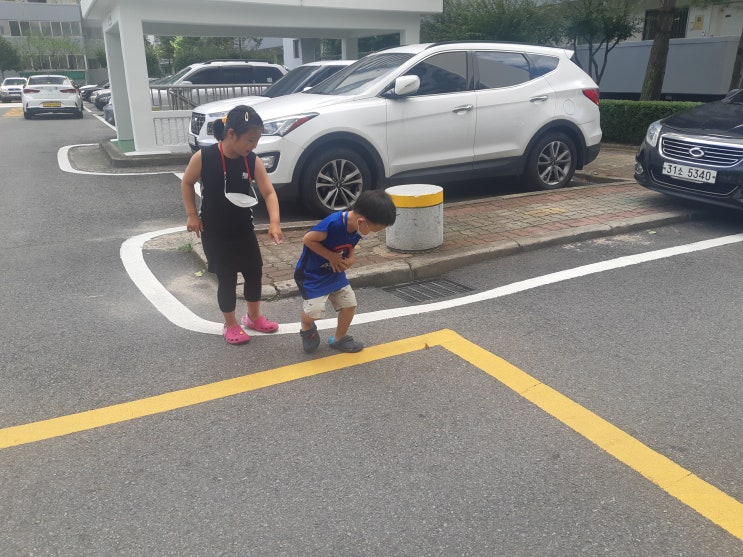  막대아이스크림 세일해서 장보고 왔어요!