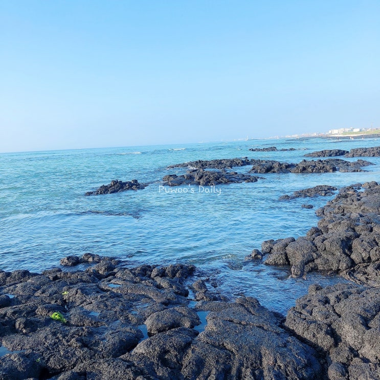  [제주도] #금능해수욕장 에메랄드빛 바다 외국 같은 제주도 바다 美