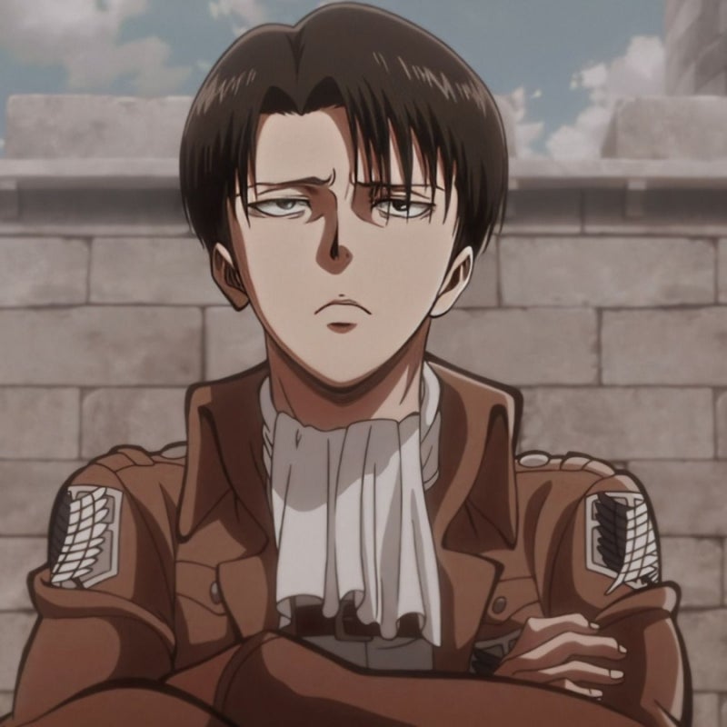 진격의 거인 상황문답] 리바이 반이니까 ver. 리바이 : 네이버 블로그