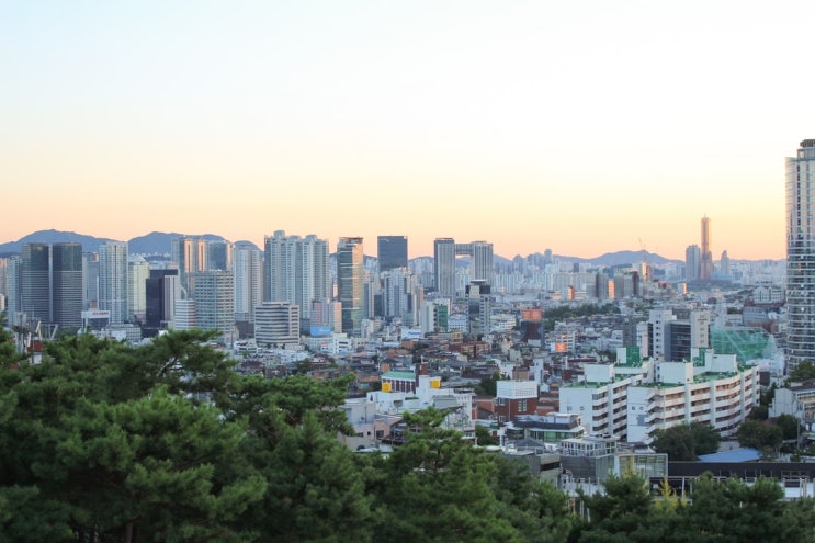  대한민국 절반이 수도권 산다..경기도 19.8만 명 증가