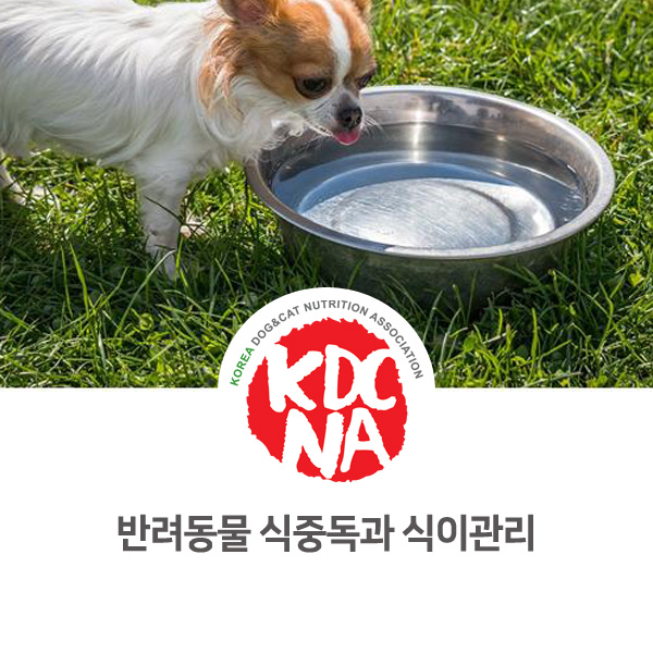 [강아지 고양이 식이 관리] 반려동물 식중독과 음식 주의점_606