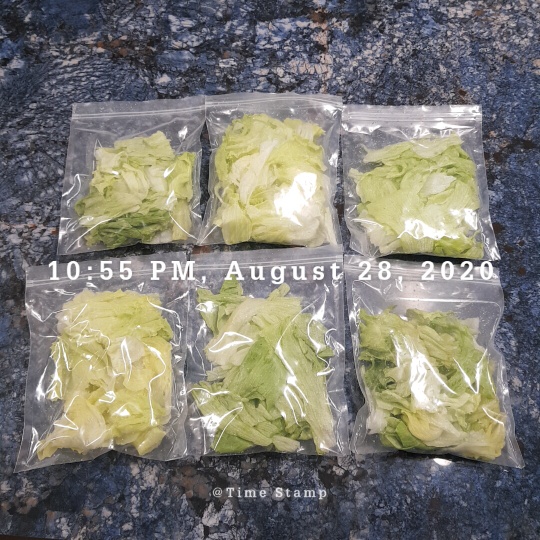  일주일치 먹을 양상추 소분해서 정리하다!