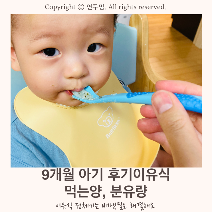 9개월 아기 후기 이유식 이유식 먹는양, 분유량 공유 / 이유식 정체기는 배달이유식 배냇밀로 해결했어요 9개월 아기 후기 이유식 이유식 먹는양, 분유량 공유 / 이유식 정체기는 배달이유식 배냇밀로 해결했어요