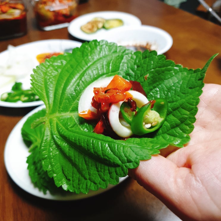  오징어 숙회 쌈 데치지 말고 쪄서 쌈싸드세요! 맛은 지키고 영양은 업, 칼로리는 다운, 다이어트에도 좋아요.