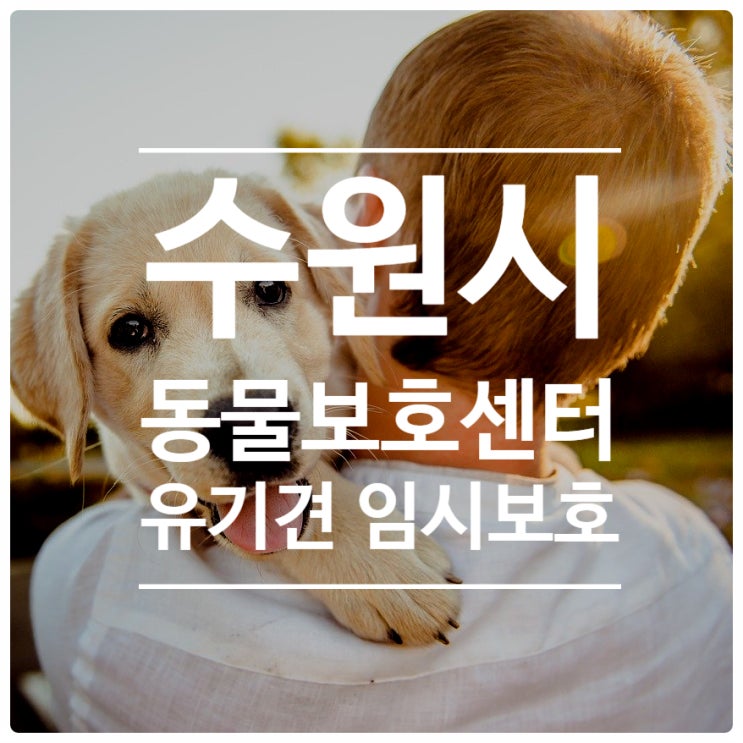 수원시 동물보호센터 유기견 임시보호 및 반려동물 무료교실 수원시 동물보호센터 유기견 임시보호 및 반려동물 무료교실