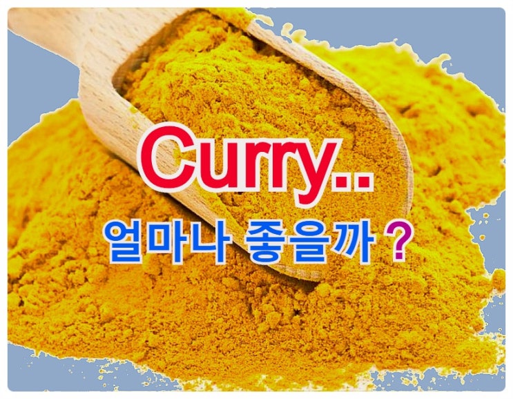  카레와 등푸른생선..  커큐민, 강황의효능과 DHA 탐구!