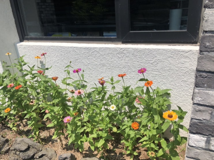  8월 넷째 주