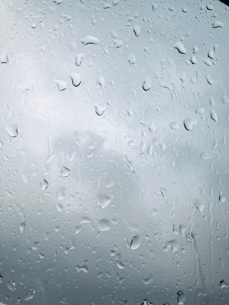  생각(6) 자신을 내던져 보는 것.