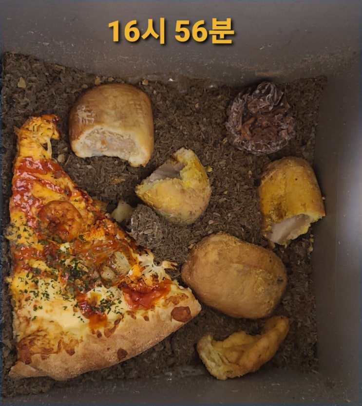  음식물처리기 '린클' 2세대 RC-02 , 에코린클, 남편 생일 선물 추천 , 집들이 선물추천