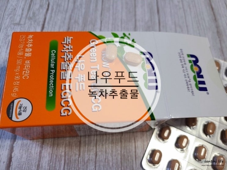 나우푸드 그린티 EGCG 다이어트 녹차추출물이 다이어트 갑 오브 더 갑 나우푸드 그린티 EGCG 다이어트 녹차추출물이 다이어트 갑 오브 더 갑