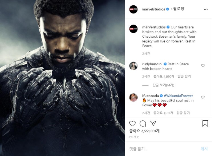 '블랙팬서' 채드윅 보스만(Chadwick Boseman) 결장암으로 사망