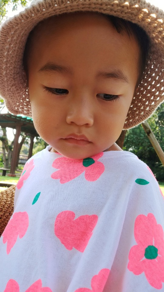  우리 불쌍한 나무.
