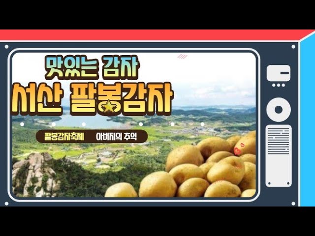  소개합니다. 팔봉감자!