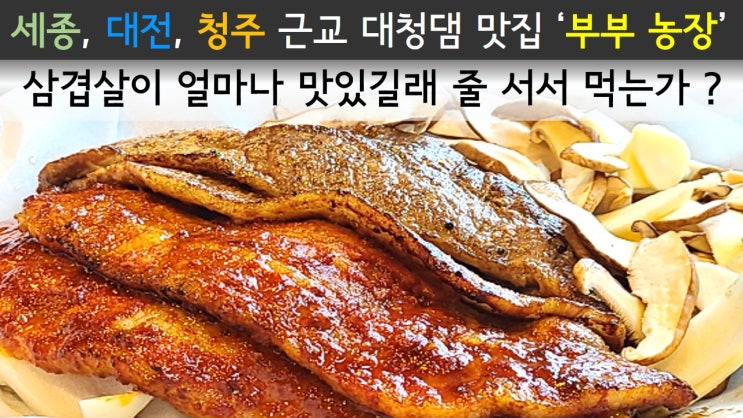 세종, 대전, 청주 근교 대청댐 맛집 문의면 '부부농장/ 삼겹살이 얼마나 맛있길래 줄 서서 먹는가? / 저도 한번 가봤습니다.