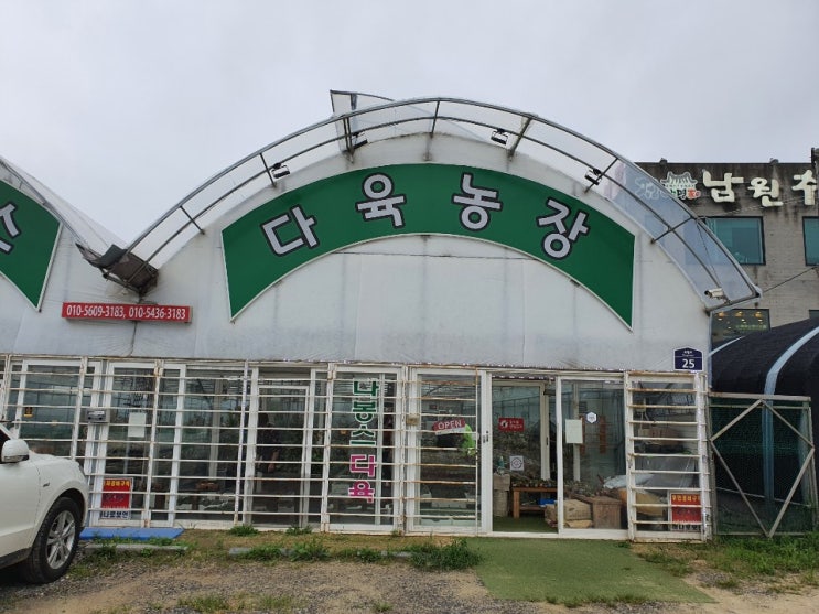  의왕 다육농장 선물하기 좋은 꽃피는  다육이 구경_내돈내산