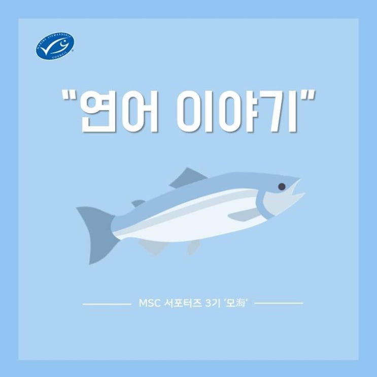  [MSC서포터즈] 연어이야기