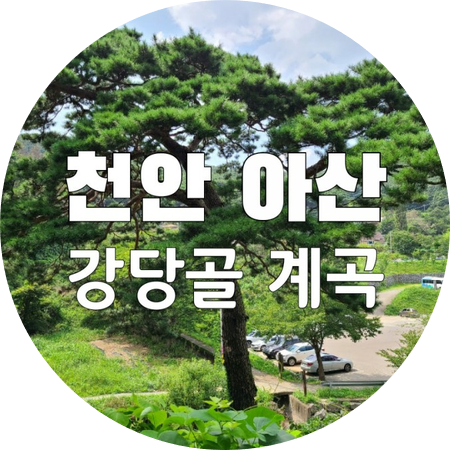  <천안 아산> 강당골 계곡에 시원하게 발 담그기 : 출렁다리