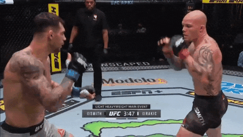 UFC 베가스 8: 스미스 vs 라키치 리뷰(피니쉬 움짤(GIF))