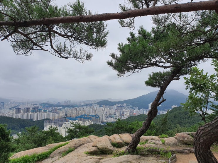  일주일 한번 토요트렉 실천하기 우중산행