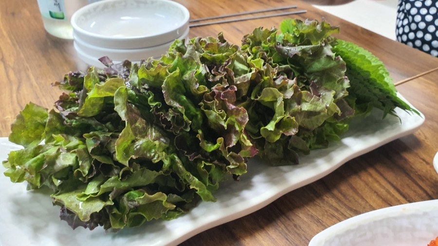 델리킹 사진 2