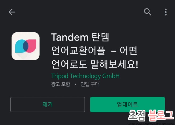 언어교환 어플 탄뎀 한달 후기