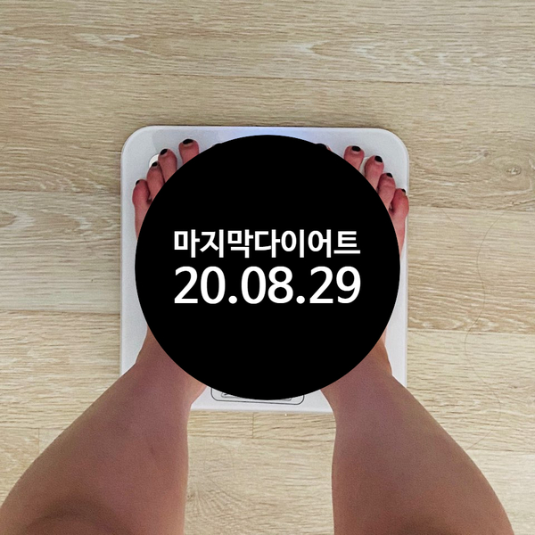  -1kg 나의 마지막 다이어트 3일차 다이어트 식단 일기