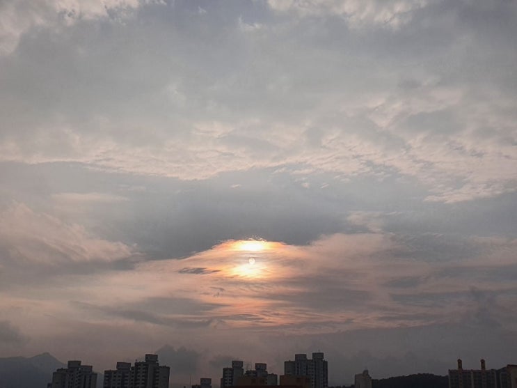 여명의 눈동자