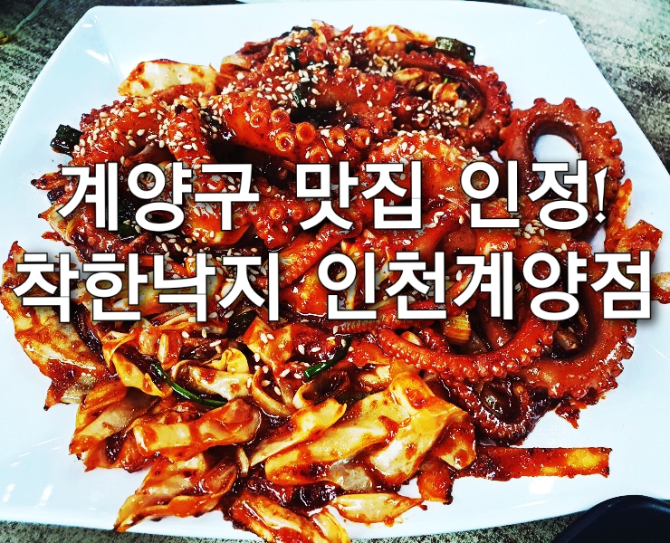 인천 계양구 계산동 착한낙지 인천계양점 솔직 후기!!(추천 리뷰)