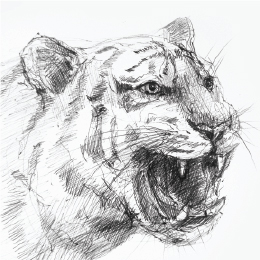볼펜으로 그린 " 호랑이 " / Drawing with ballpoint pen " Tiger "