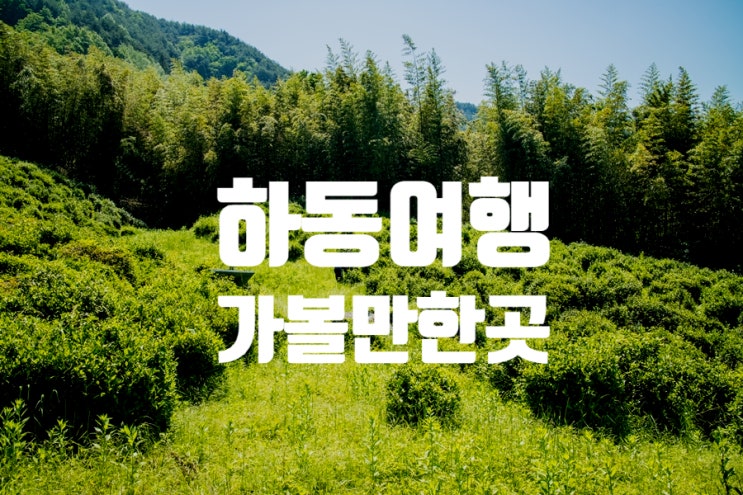 하동여행 가볼만한곳 쌍계사 차 시배지 & 하동최참판댁 하동여행 가볼만한곳 쌍계사 차 시배지 & 하동최참판댁