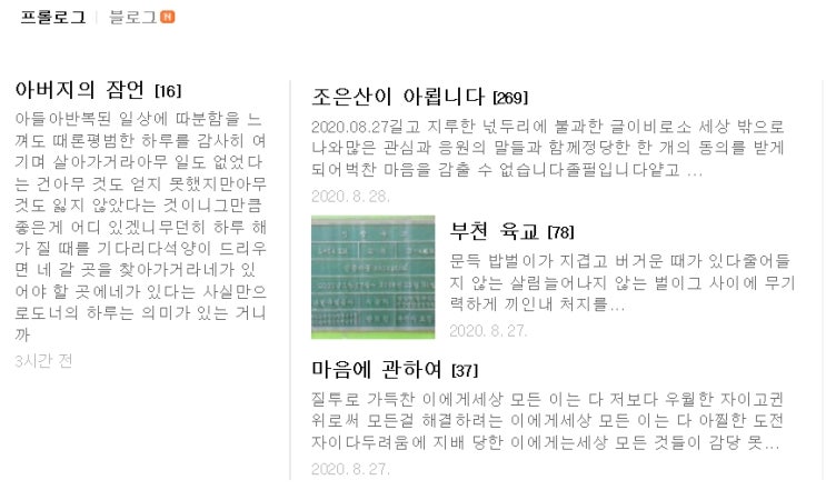  정곡을 찌르는 글솜씨 - "진인 조은산님" 블로그