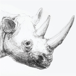 볼펜으로 그린 " 코뿔소 " / Drawing with ballpoint pen " Rhinoceros "