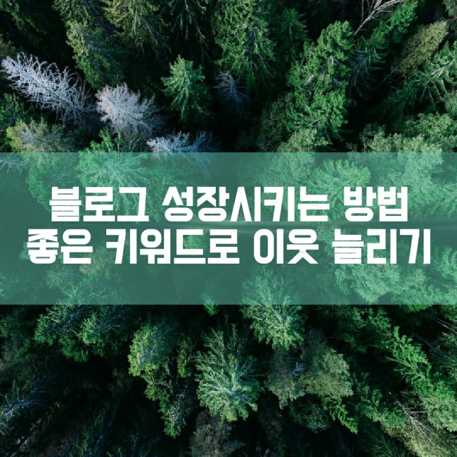  블로그 성장시키는 방법 좋은 키워드로 이웃 늘리기