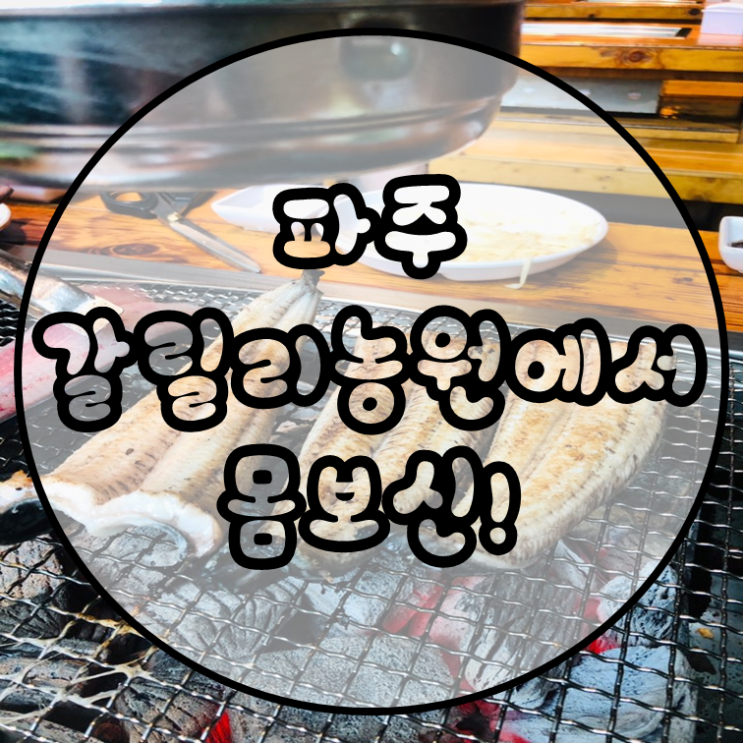  파주 장어 맛집 갈릴리농원 다녀오기