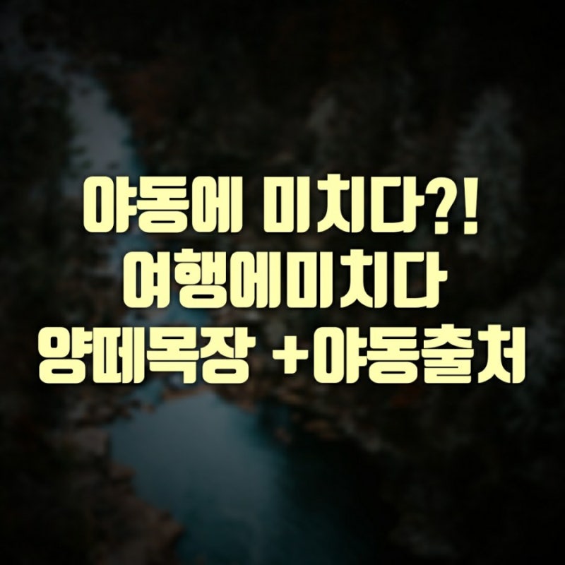 종합) 야동에 미치다! 여행에 미치다 양떼목장 (+원본영상출처 캡쳐 인스타 사진 ) : 네이버 블로그 종합) 야동에 미치다! 여행에 미치다 양떼목장 (+원본영상출처 캡쳐 인스타 사진 ) : 네이버 블로그