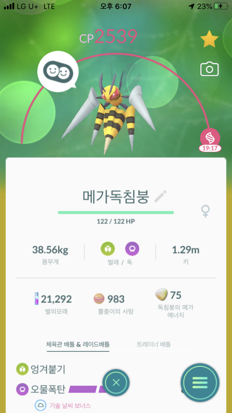  메가독침붕