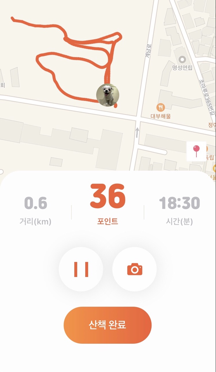  반려견과 산책하고 포인트 쌓는 어플 펫피