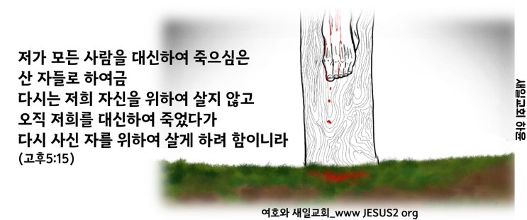 새일교회 | 예수의 친구 된 자격