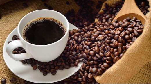 커피, 커피원두의 멸종