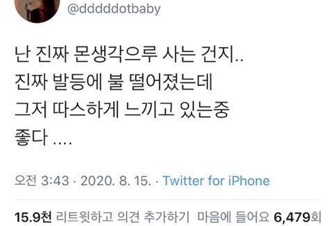 내가 좋아하는 트위터 및 짤털이 ️