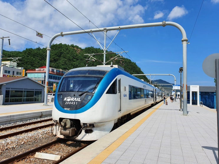 (2020년 8월 동해산타열차) #2 푸르른 바다~ 정동진