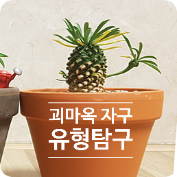  괴마옥 키우기 #4 개성만점 괴마옥 자구 유형탐구(+인터넷으로 식물 살 때 주의할점, 괴마옥 가격)