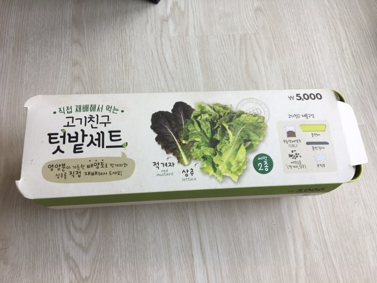  [REVIEW] 다이소에서 파는 고기친구 텃밭세트 1일차 