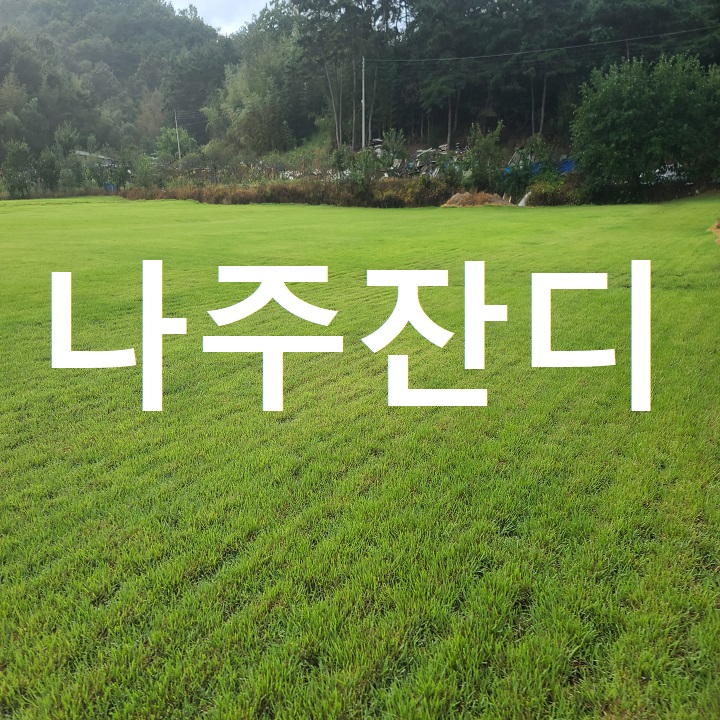  전남평야의 중심 나주 잔디 배달했어요