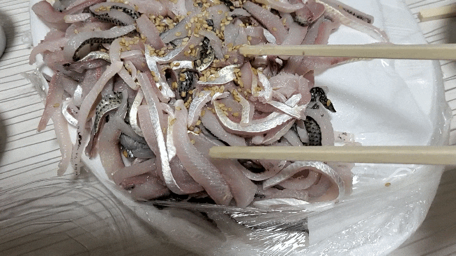  조치원 맛집_뱃놈 횟집, 덕이네 맷돌 빈대떡_전어회 넘나 맛나쟈냐ㅠㅠ