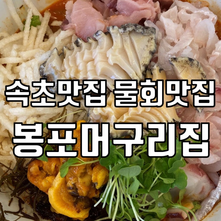 속초맛집 물회맛집 - 봉포머구리집