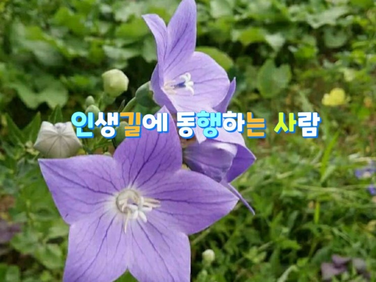  [인생길에 동행하는 사람]