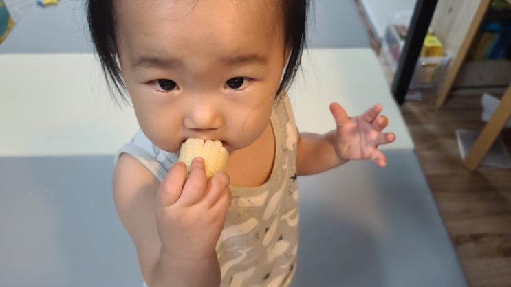  찰옥수수 삶는법 찐옥수수 보관법까지 한번에