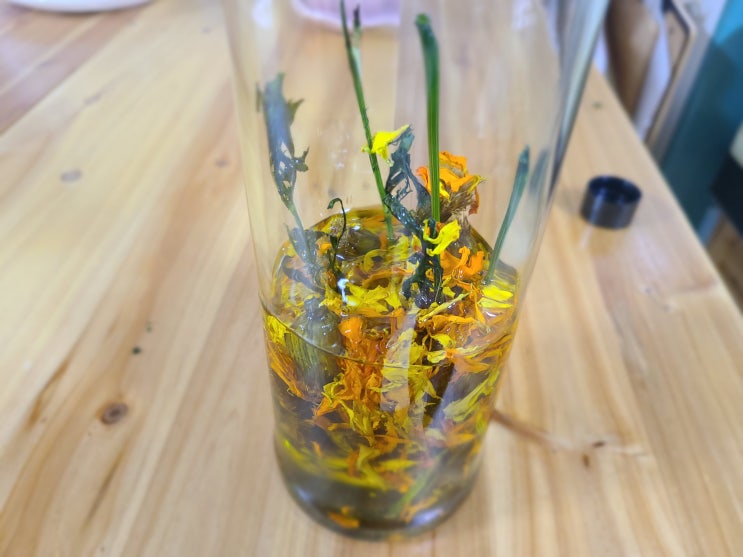  올리브유로 메리골드기름  쉽게 만들어 먹어요